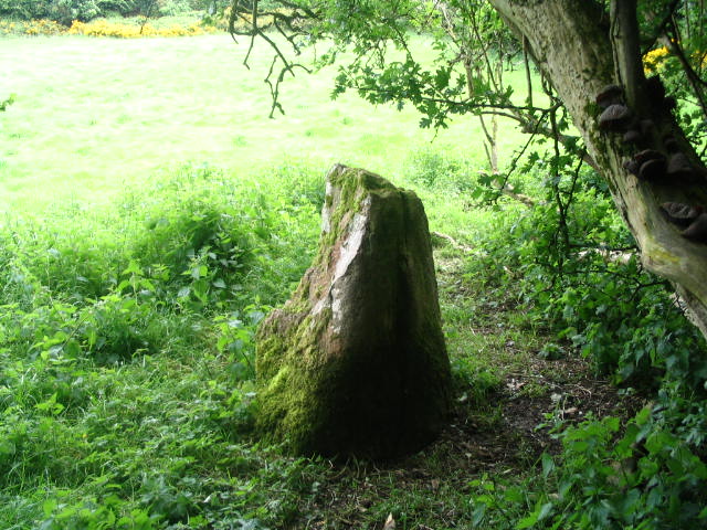 Lough Gur D (Stone Circle) by daveyravey