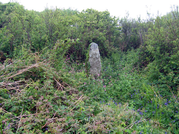 Castallack Carn (Standing Stone / Menhir) by ocifant
