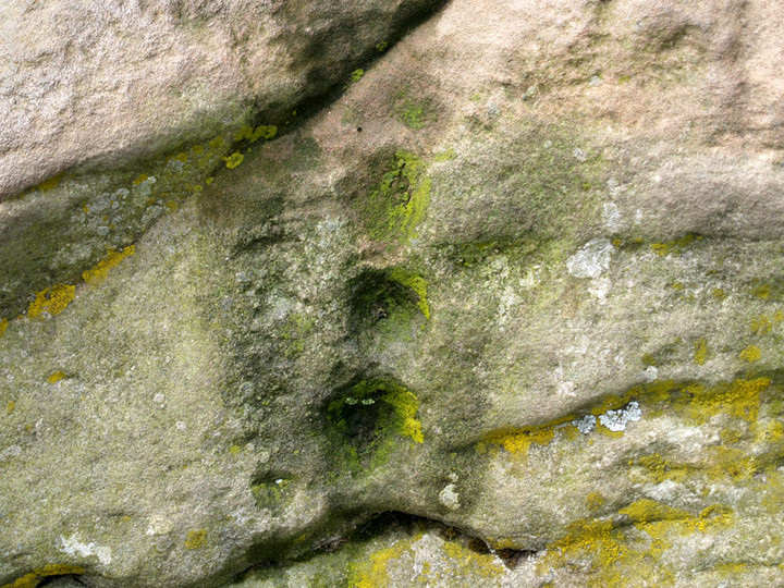 The Ringses (Cup and Ring Marks / Rock Art) by rockartwolf