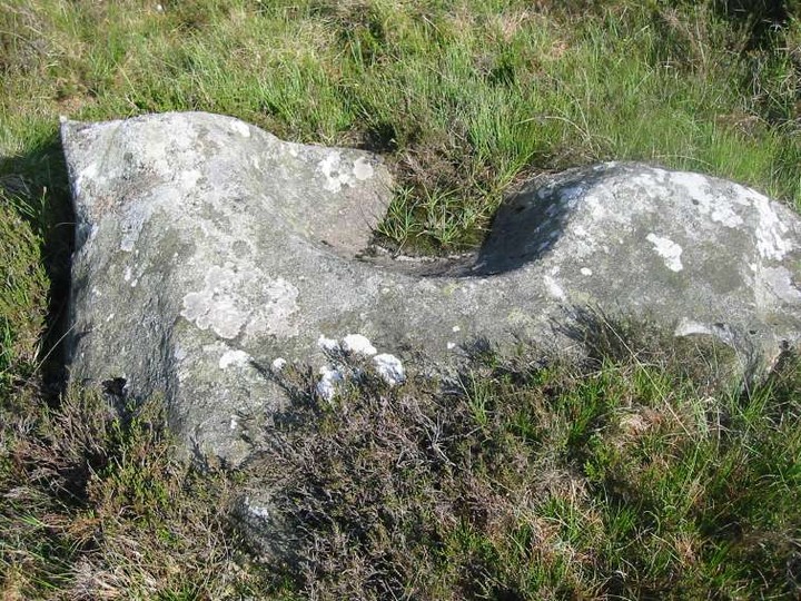 Baltinglass Hill 'Basin' Stone (Bullaun Stone) by ryaner