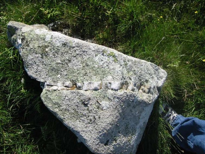 Baltinglass Hill Cairn - Standing Stone (Standing Stone / Menhir) by ryaner