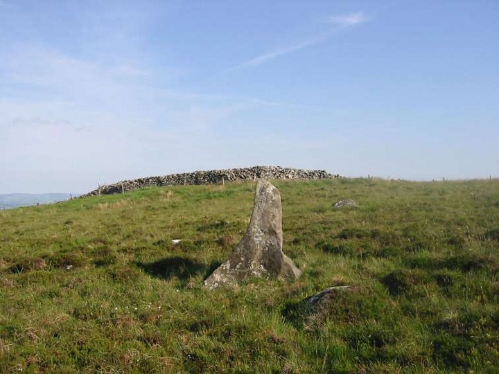 Baltinglass Hill - Standing Stone (Standing Stone / Menhir) by ryaner