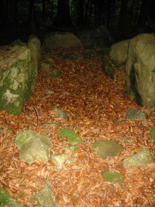 Killakee (Wedge Tomb) by ryaner
