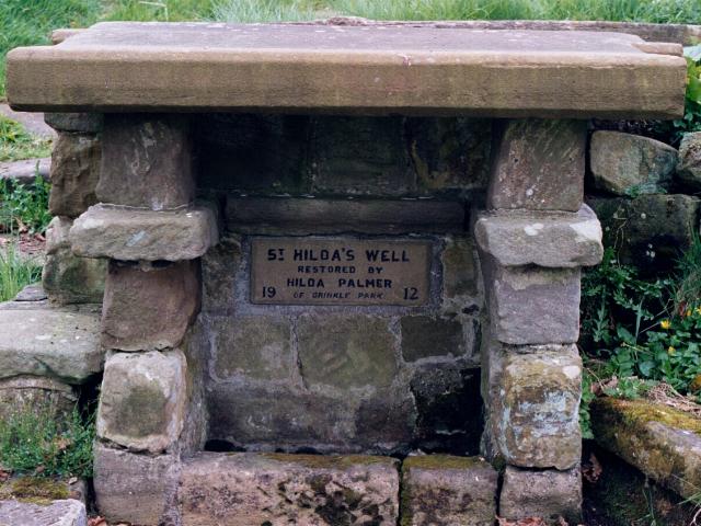 Hilda's Well (Sacred Well) by fitzcoraldo