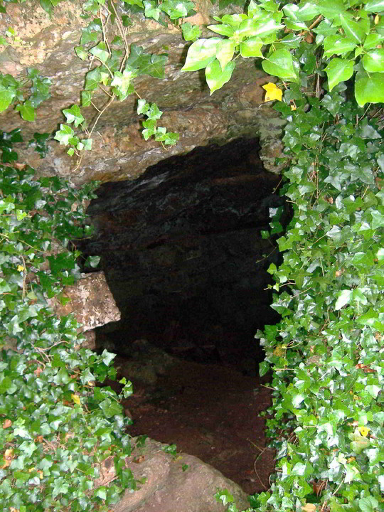 Entrance to Tir Na Og (Cave / Rock Shelter) by bawn79