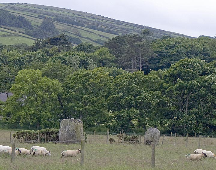 Ballycleagh (Standing Stones) by minipixel