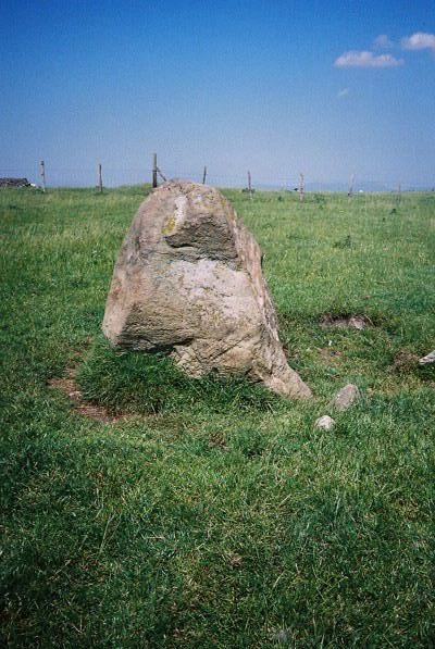Moel Goedog Stone 3 (Standing Stone / Menhir) by Idwal