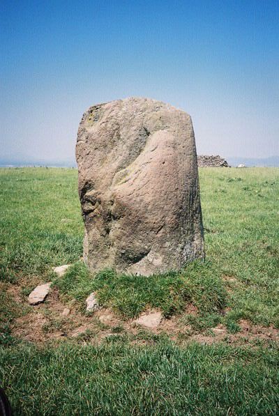 Moel Goedog Stone 2 (Standing Stone / Menhir) by Idwal