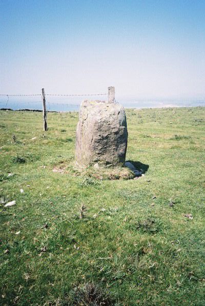 Moel Goedog Stone 1 (Standing Stone / Menhir) by Idwal