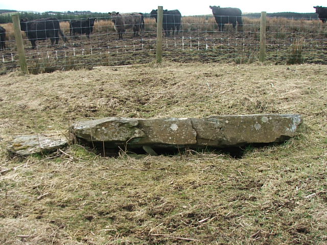 Seven Brethren (Stone Circle) by postman