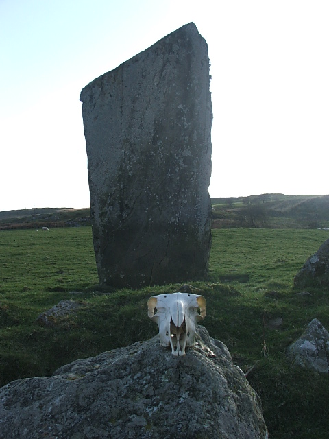Llech Idris (Standing Stone / Menhir) by postman