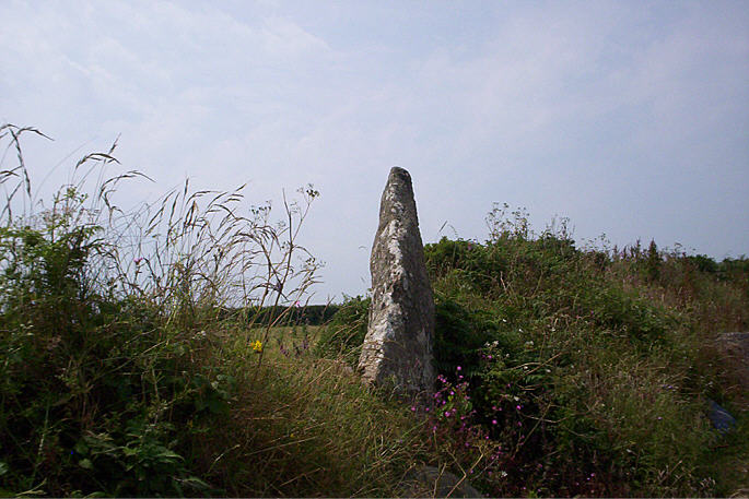 Boscawen-Un hedge (Standing Stone / Menhir) by hamish