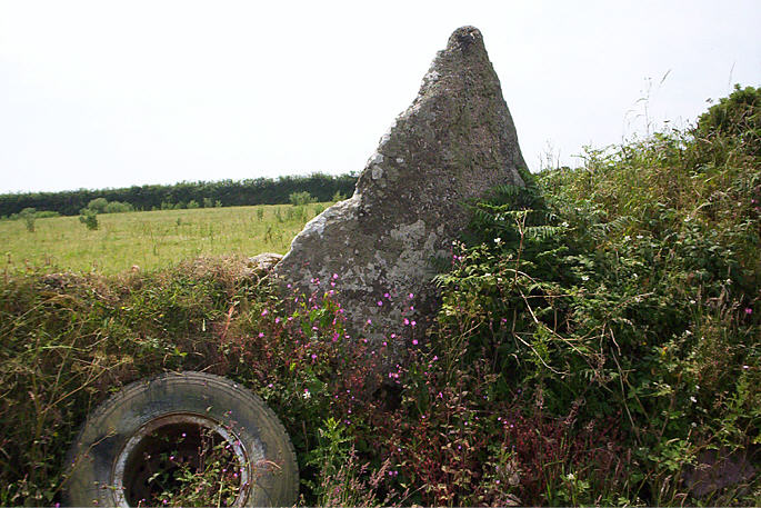 Boscawen-Un hedge (Standing Stone / Menhir) by hamish