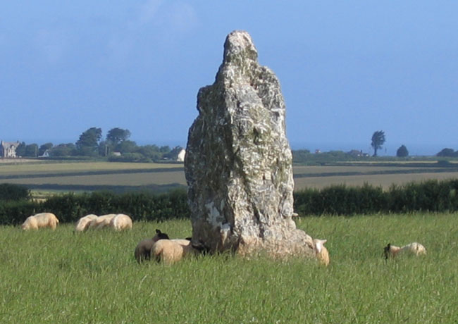 The Long Stone (Standing Stone / Menhir) by ocifant