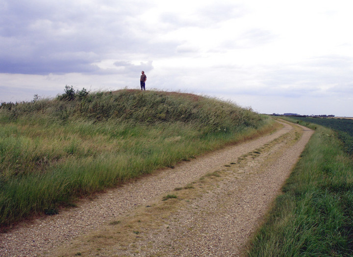 Grim's Mound (Round Barrow(s)) by David Raven