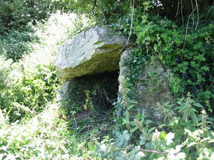 Carrickgollogan (Wedge Tomb) by ryaner