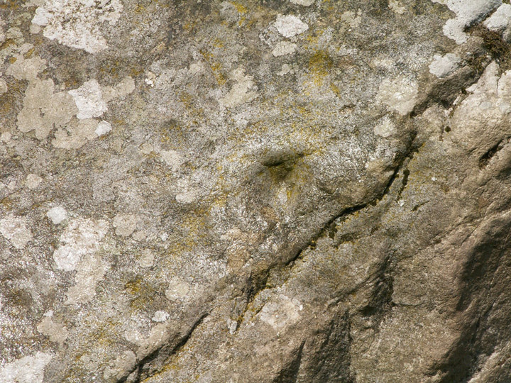 Lagganmullan 3 (Cup and Ring Marks / Rock Art) by rockartwolf