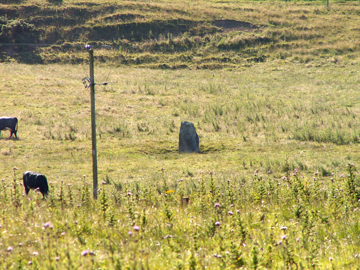 Brighouse Standing Stone (Standing Stone / Menhir) by rockartwolf