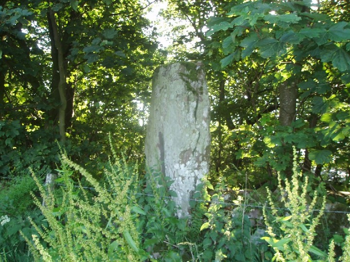 Glenhead Standing Stone (Standing Stone / Menhir) by Vicster
