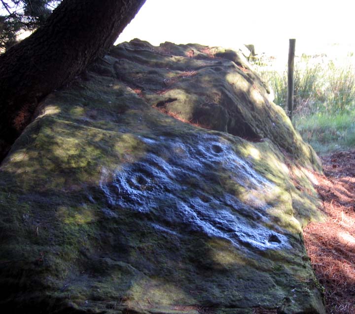 Gayles Moor (Cup and Ring Marks / Rock Art) by fitzcoraldo