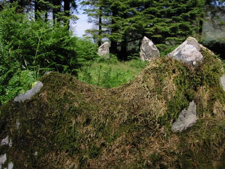 Boleycarrigeen (Stone Circle) by ryaner