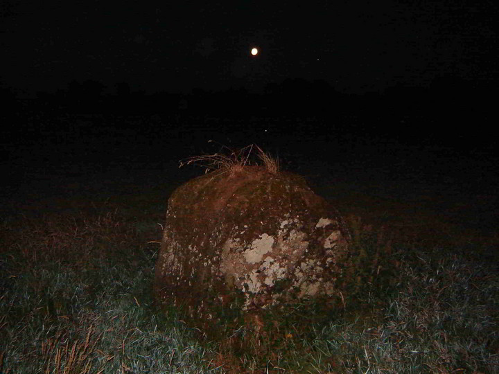 The Stone Of The Tree (Standing Stone / Menhir) by bawn79