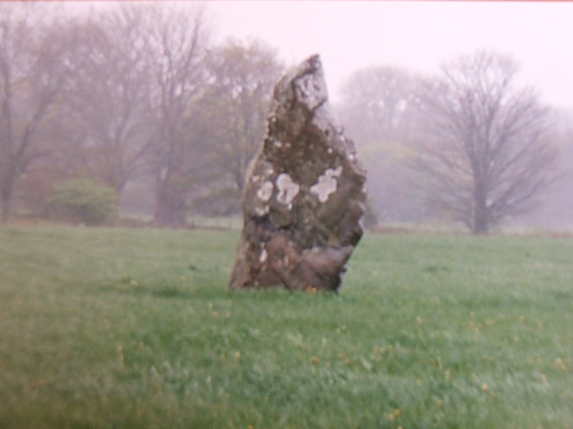Maen Llwyd (Plas Newydd) (Standing Stone / Menhir) by postman