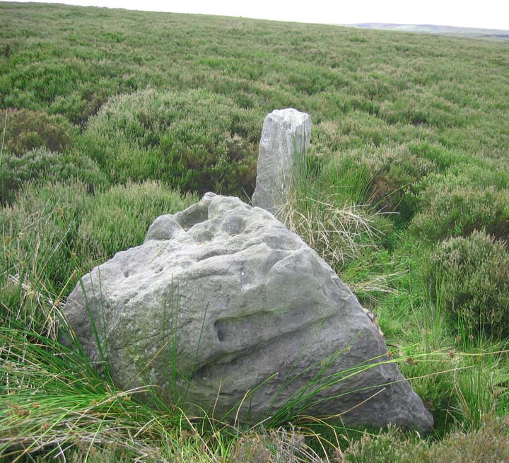 The Nan Stone (Standing Stone / Menhir) by fitzcoraldo