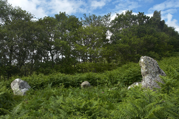 Aberscross (Stone Circle) by LivingRocks