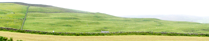 Hill of Heddle (Round Barrow(s)) by wideford