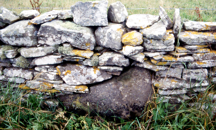 Upper Garson (Standing Stones) by wideford