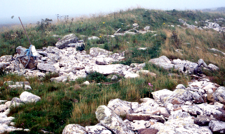 Kirk Ness Mound (Round Barrow(s)) by wideford