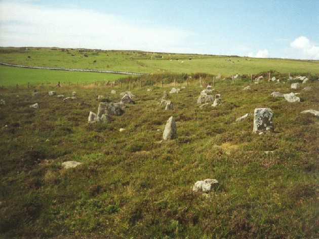 Hill O'Many Stanes (Multiple Stone Rows / Avenue) by Martin