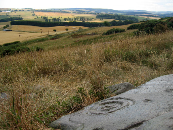 Midstead (Cup and Ring Marks / Rock Art) by rockandy