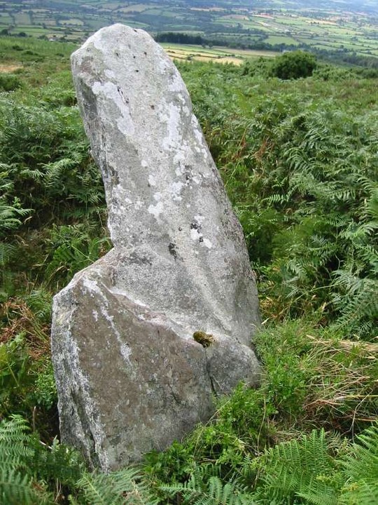 Dranagh (Standing Stone / Menhir) by ryaner