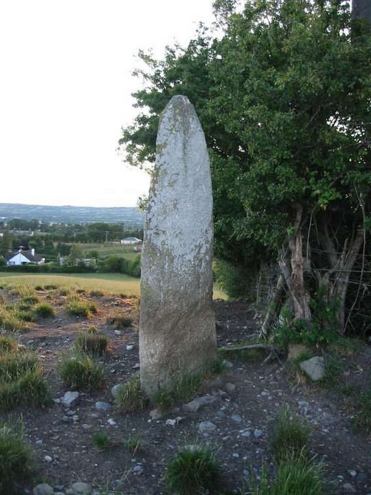 Leighlinbridge (Standing Stone / Menhir) by ryaner