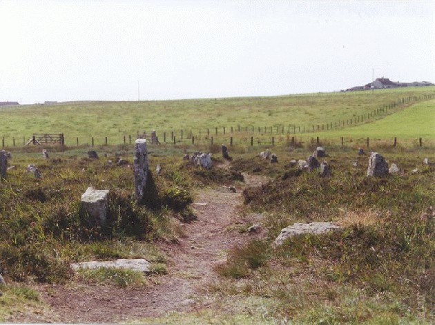 Hill O'Many Stanes (Multiple Stone Rows / Avenue) by Martin