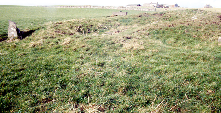 Hawell (Burnt Mound / Fulacht Fia) by wideford