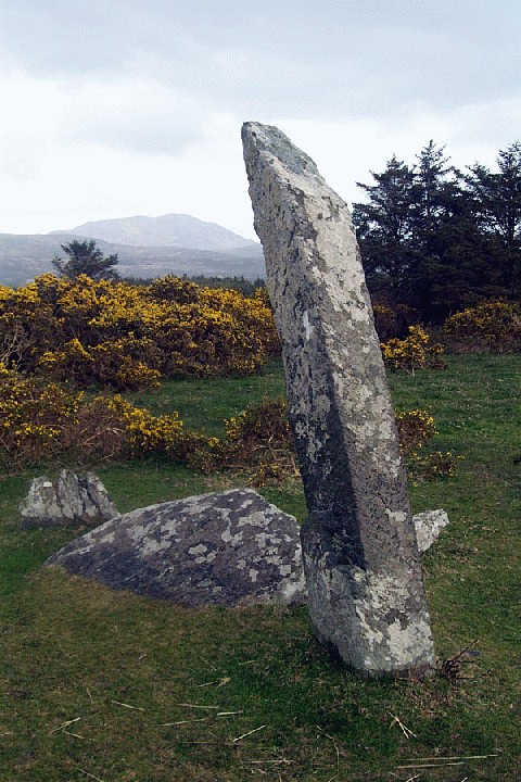 Derreenataggart West (Stone Circle) by IronMan