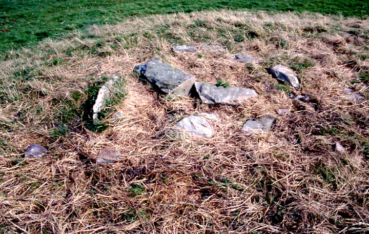 Newan (Chambered Cairn) by wideford