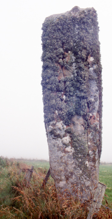 Sorquoy (Standing Stone / Menhir) by wideford