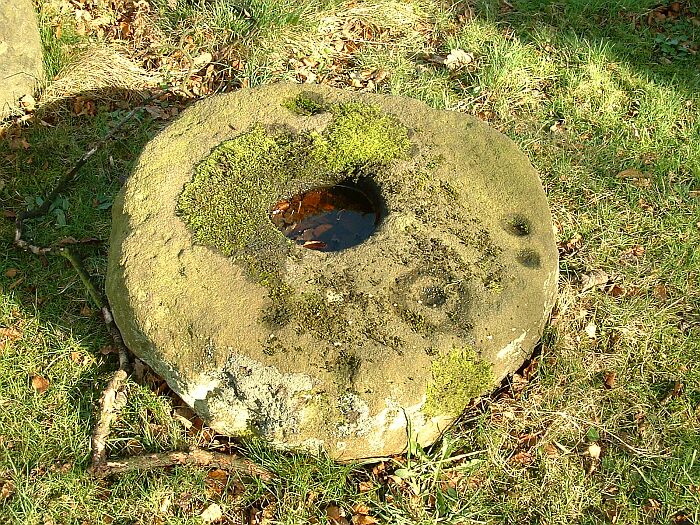Plague Stone (Adel) (Cup and Ring Marks / Rock Art) by Chris Collyer