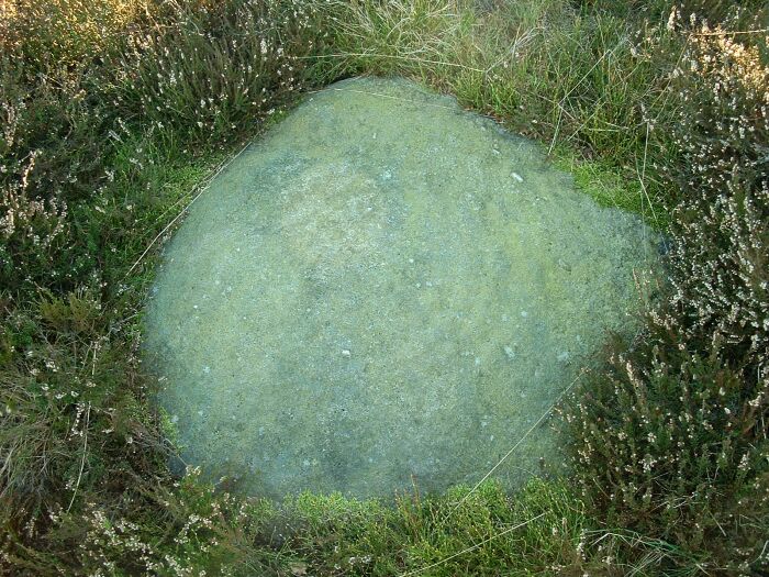 Knotties Stone (Otley Chevin) (Cup and Ring Marks / Rock Art) by Chris Collyer