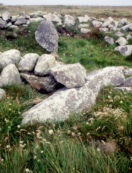 The Wart (Chambered Cairn) by wideford