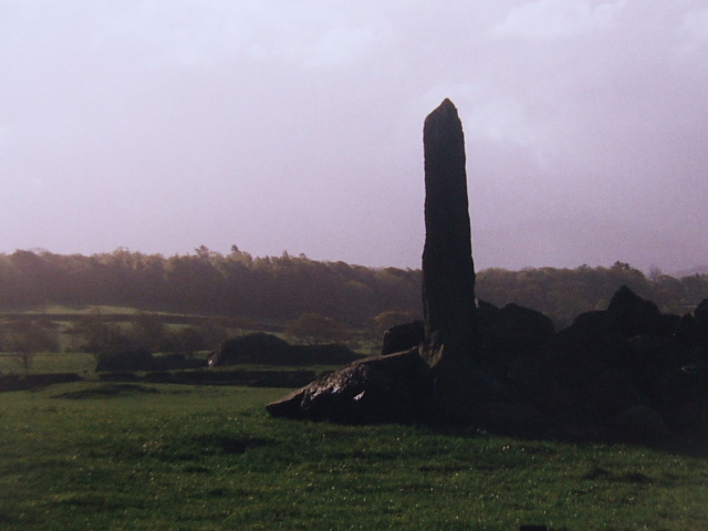 Tyddyn Bach Standing Stone (Standing Stone / Menhir) by postman