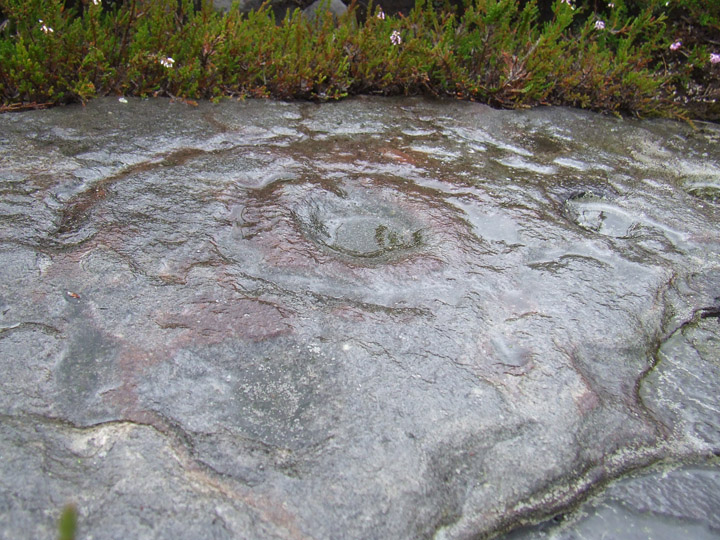 Whitehill Head (Cup and Ring Marks / Rock Art) by akas555