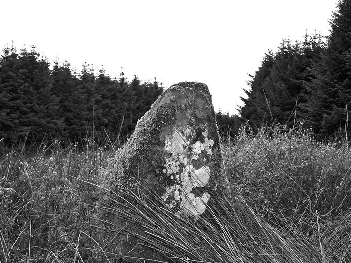 Ninestane Rigg (Stone Circle) by rockartwolf