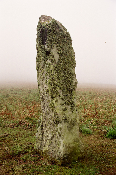Harold Stone (Skomer) (Standing Stone / Menhir) by matt saze