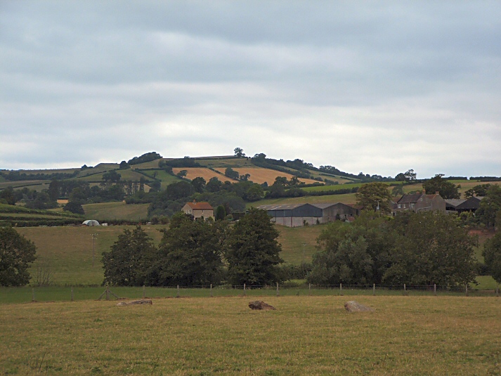 Maes Knoll (Hillfort) by jimit