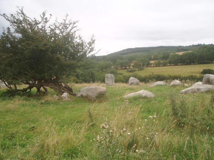 Athgreany (Stone Circle) by Vicster